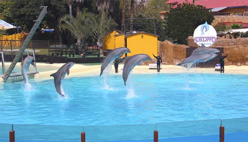 Paseo Maritimo Los Boliches. Fuengirola Buitenkant foto